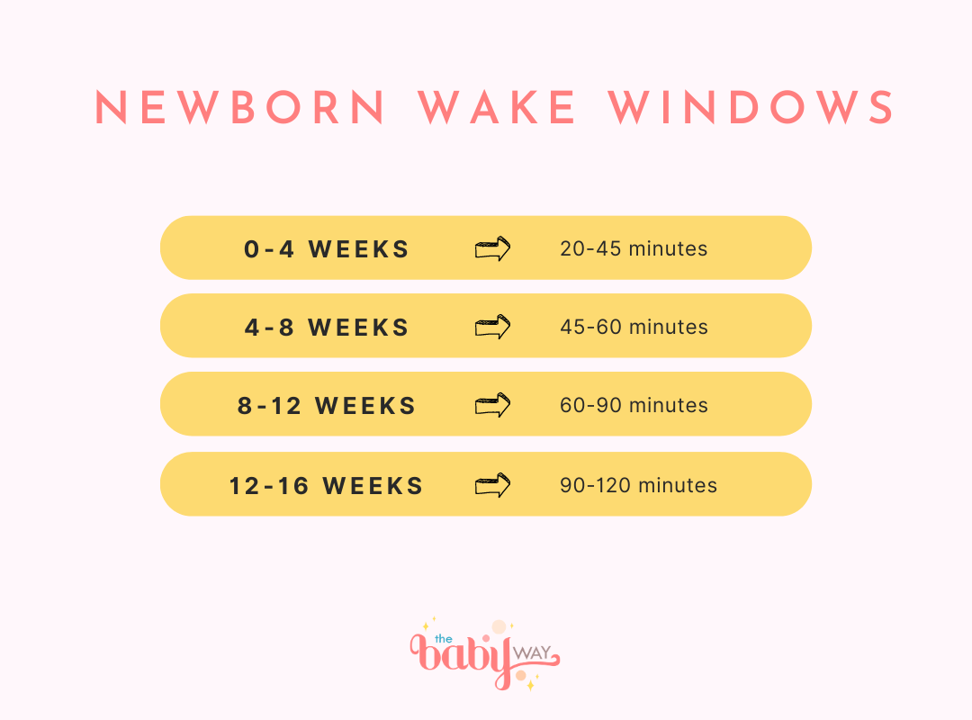 Wake Windows For Newborns - When To Start And What You Need To Know